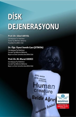 Disk Dejenerasyonu