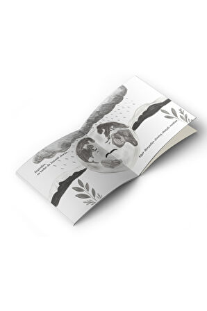 Merve Şen - Ya Renkler Olmasaydı?