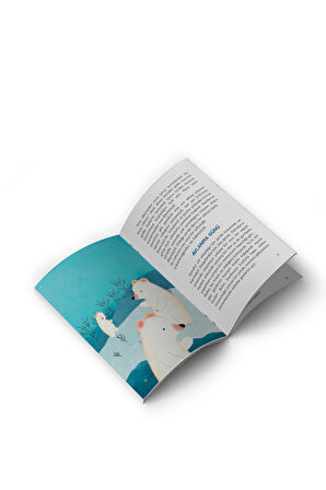 Canan Ova - Ben Kutup Ayısı Değilim