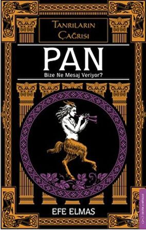 Pan Bize Ne Mesaj Veriyor?