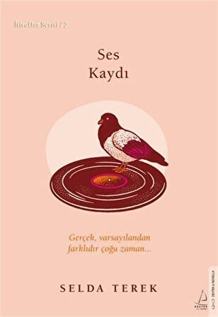 Ses Kaydı / Selda Terek