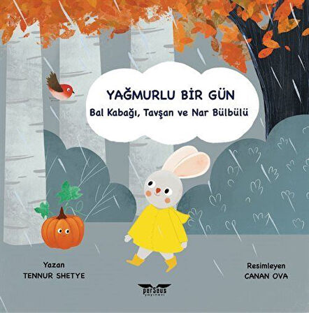 Yağmurlu Bir Gün / Tennur Shetye