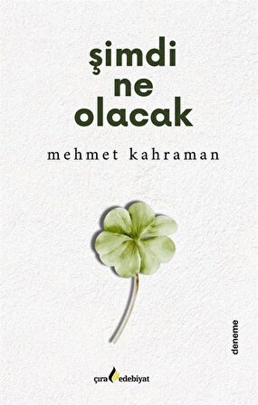 Şimdi Ne Olacak / Mehmet Kahraman