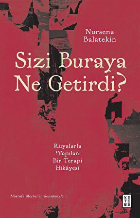 Sizi Buraya Ne Getirdi? & Rüyalarla Yapılan Bir Terapi Hikayesi / Nursena Balatekin