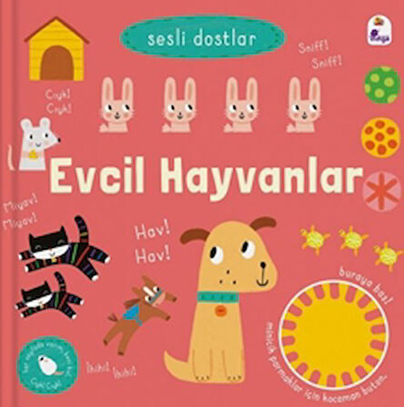 Sesli Dostlar – Evcil Hayvanlar (Sesli Kitap)