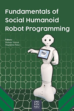 Fundamentals of Social Humanoid Robot Programming