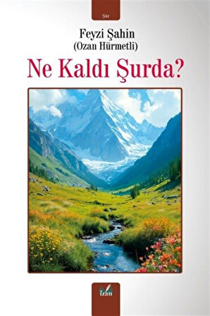 Ne Kaldı Şurda? / Feyzi Şahin
