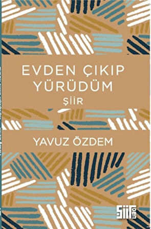 Evden Çıkıp Yürüdüm