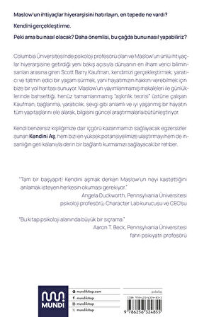 Kendini Aş