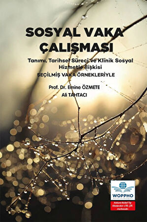 Sosyal Vaka Çalışması