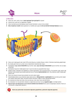 Burcu Ay 2026 YKS 35 Günde TYT Biyoloji Kampı