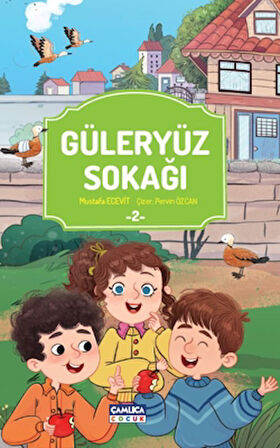 Güleryüz Sokağı