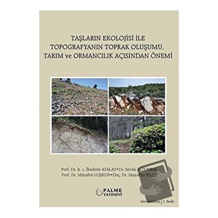 Taşların Ekolojisi İle Topografyanın Toprak Oluşumu Tarım ve Ormancılık Açısından Önemi