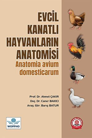 Evcil Kanatlı Hayvanların Anatomisi