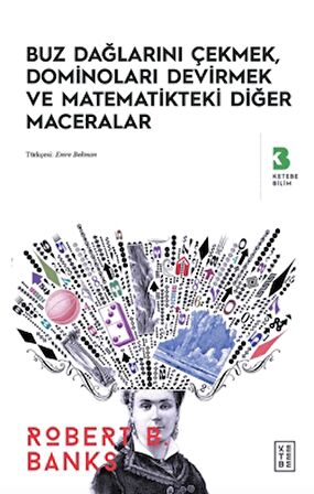 Buz Dağlarını Çekmek, Düşen Dominolar ve Diğer Uygulamalı Matematik Maceraları