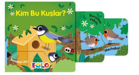 Eolo Kim Bu Kuşlar?