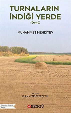 Turnaların İndiği Yerde (Öykü) / Muhammet Mehdiyev