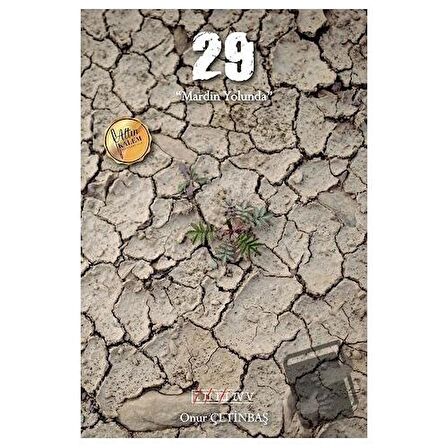 29 - Mardin Yolunda