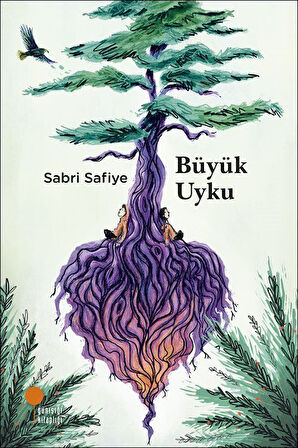 Büyük Uyku / Sabri Safiye