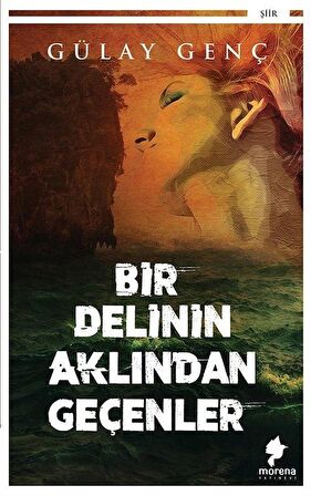 Bir Delinin Aklından Geçenler