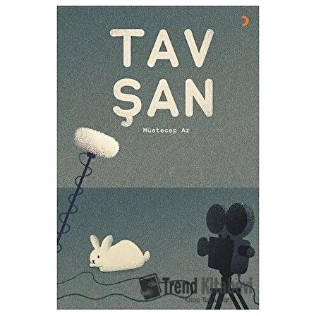 Tavşan