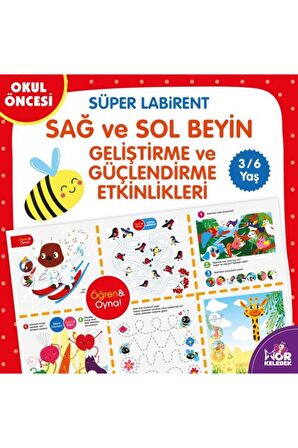 Süper Labirent Sağ ve Sol Beyin Geliştirme ve Güçlendirme Etkinlikleri