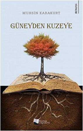 Güneyden Kuzeye