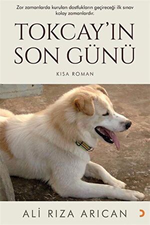 Tokcay’ın Son Günü