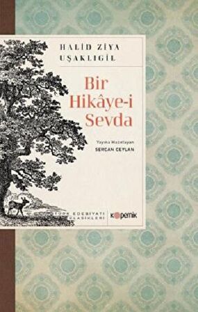 Bir Hikaye-i Sevda - Türk Edebiyatı Klasikleri