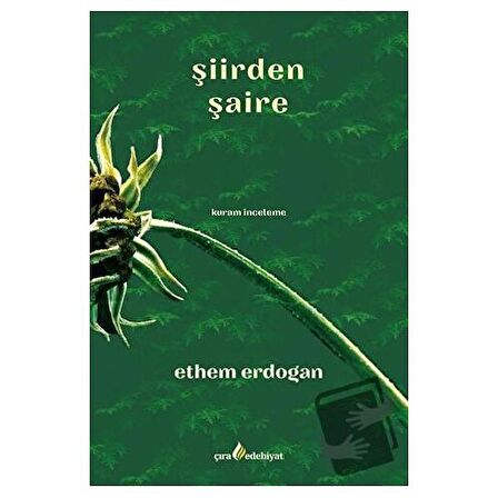 Şiirden Şaire