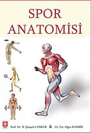 Spor Anatomisi