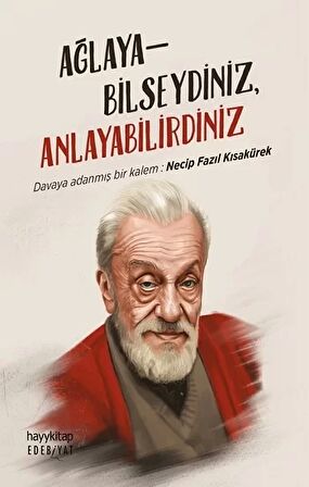 Ağlayabilseydiniz, Anlayabilirdiniz