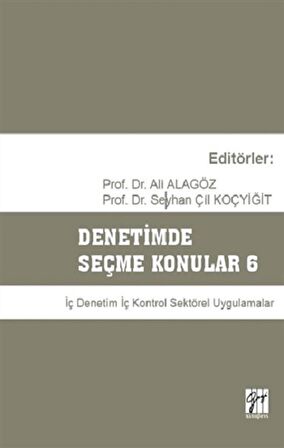 Denetimde Seçme Konular 6