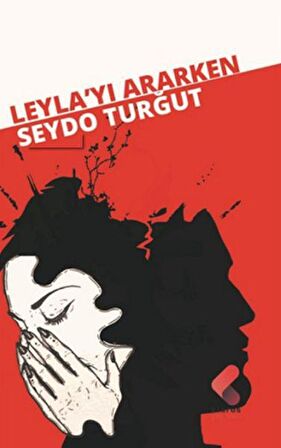 Leyla'yı Ararken