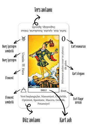 Başlangıç Tarot / Yeni Başlayanlar İçin Açıklamalı 78 Tarot Kartı ve Dijital Rehber Kitap