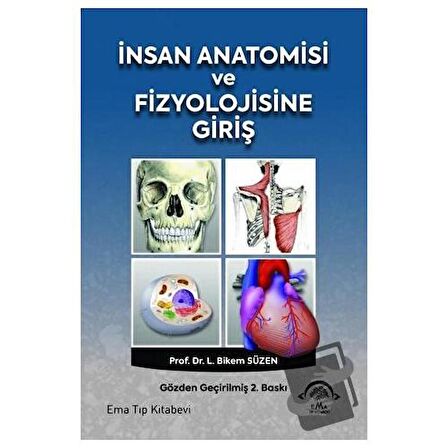 İnsan Anatomisi ve Fizyolojisine Giriş