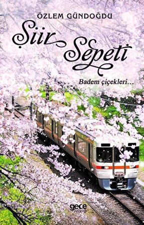Şiir Sepeti 2