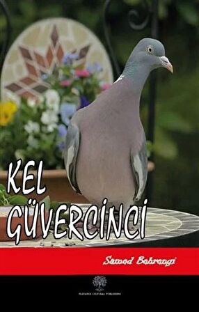 Kel Güvercinci