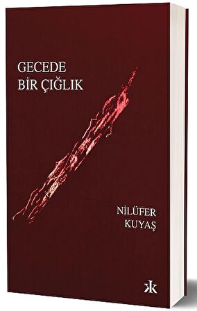 Gecede Bir Çığlık