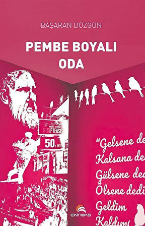 Pembe Boyalı Oda / Başaran Düzgün