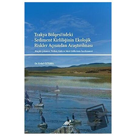 Trakya Bölgesi'ndeki Sediment Kirliliğinin Ekolojik Riskler Açısından Araştırılması