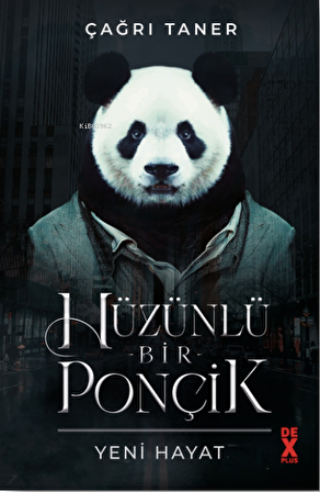 Hüzünlü Bir Ponçik