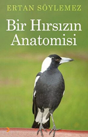 Bir Hırsızın Anatomisi
