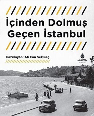 İçinden Dolmuş Geçen İstanbul