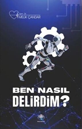 Ben Nasıl Delirdim?