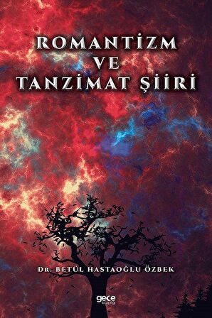 Romantizm ve Tanzimat Şiiri