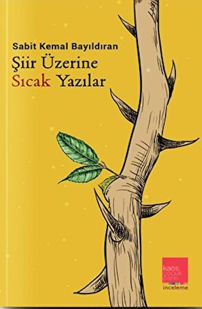 Şiir Üzerine Sıcak Yazılar