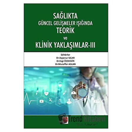 Sağlıkta Güncel Gelişmeler Işığında Teorik ve Klinik Yaklaşımlar - 3