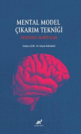 Mental Model Çıkarım Tekniği: Nedensel Haritalar