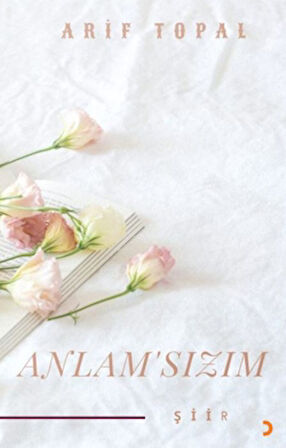 Anlamsızım